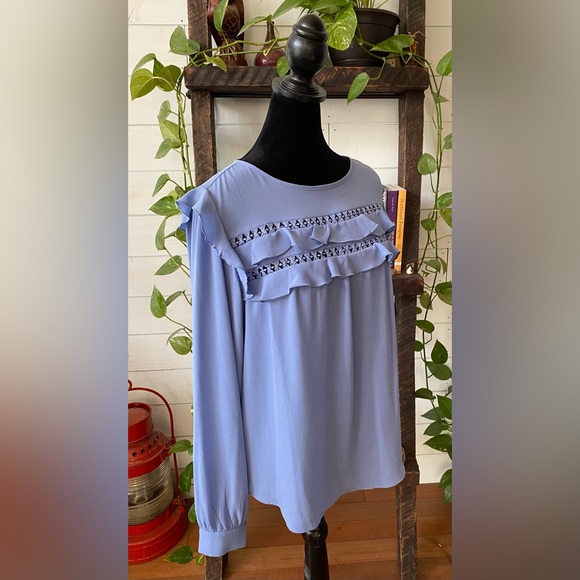 Loft: Blue Blouse with Ruffle Trim and  Embroidered Cutout - Picture 4 of 17